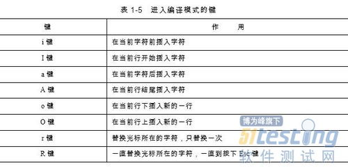 linux沒有盤符的概念 只有一個根目錄,linux系統(tǒng)的文件和目錄 測試工程師核心開發(fā)技術 4 ...