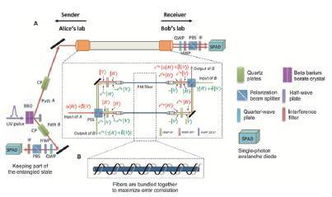 2016年中國重大科學 技術(shù)和工程進展 技術(shù)篇